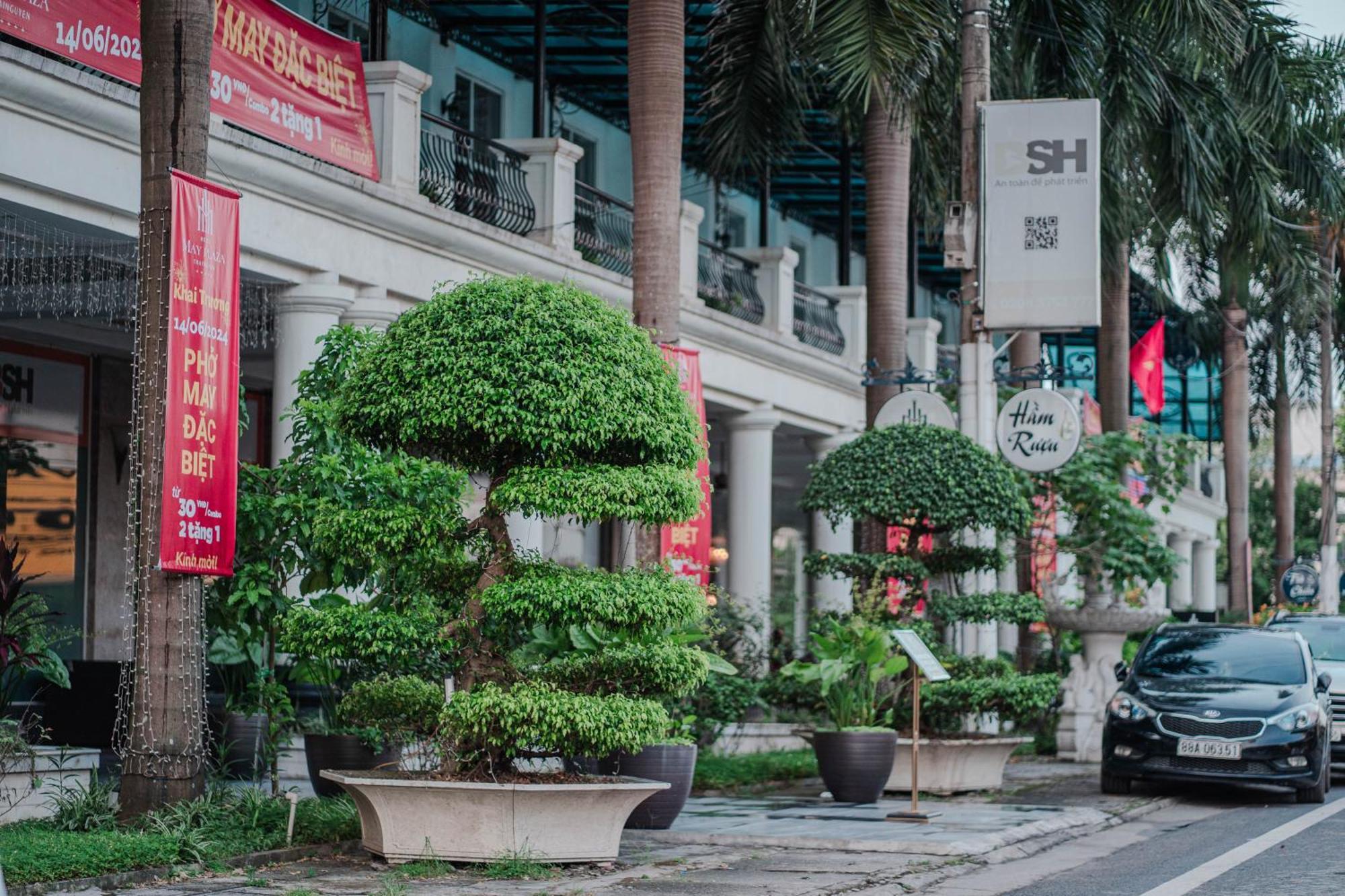 May Plaza Hotel Thái Nguyên 外观 照片