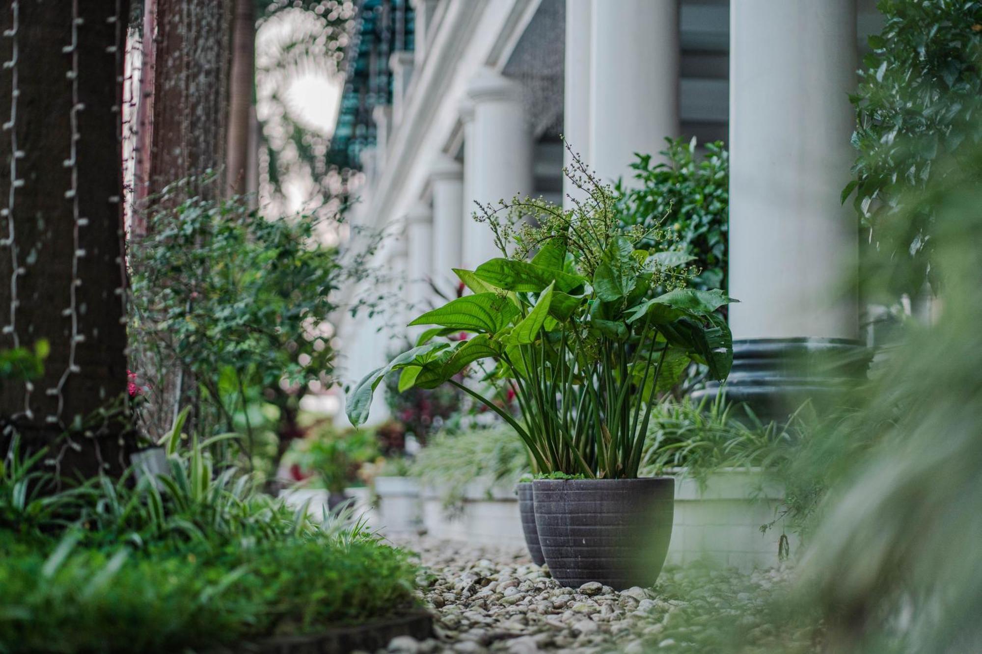 May Plaza Hotel Thái Nguyên 外观 照片